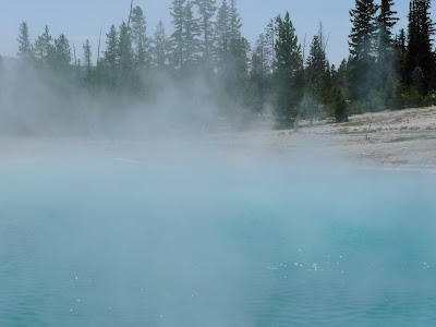P1000731.JPG