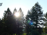 P1000904.JPG
