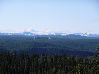 P1000907.JPG