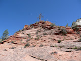 P1010779.JPG