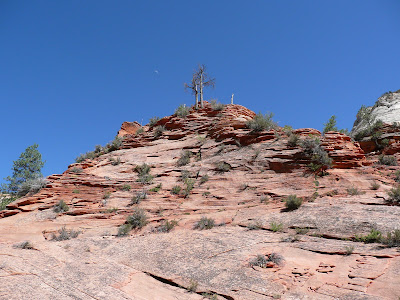 P1010779.JPG