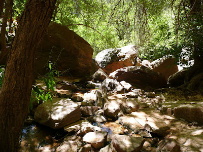 P1010672.JPG