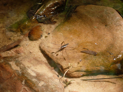 P1010675.JPG