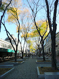 P1030549.JPG
