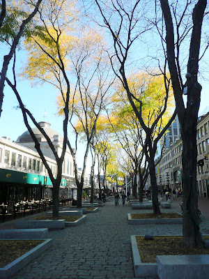P1030549.JPG