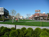 P1030567.JPG
