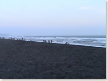 [DSC00194_thumb5.jpg]