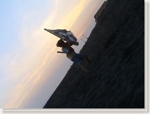 DSC00203_thumb