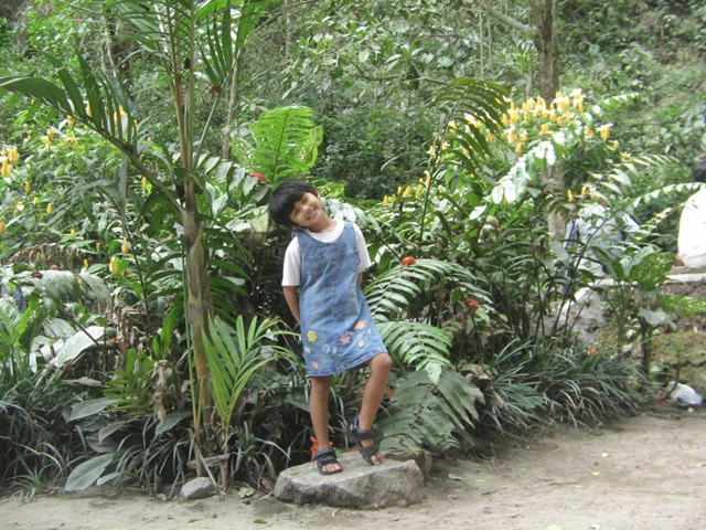 [IMG_026741.jpg]