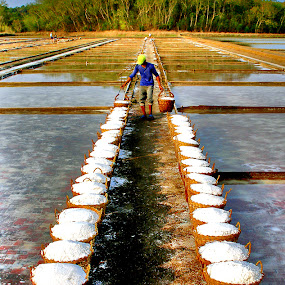 Salt Farm of Pangasinan by Edwin   S. Loyola - News & Events World Events