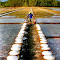 salt farm 01ab900.jpg