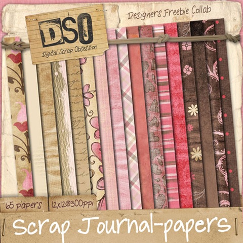 [DSOscrapjournal_papers3.jpg]