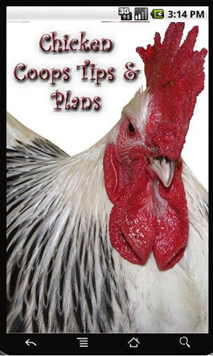 Chicken Coops Tips and Plans