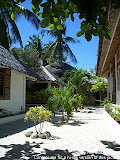 nomad4ever_philippines_malapascua_CIMG2258.jpg