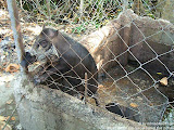 nomad4ever_philippines_palawan_nagtoban_CIMG2092.jpg