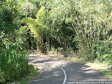 nomad4ever_indonesia_bali_landscape_CIMG1920.jpg