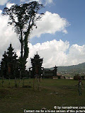 nomad4ever_indonesia_bali_landscape_CIMG1832.jpg