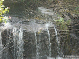 nomad4ever_indonesia_bali_landscape_CIMG2365.jpg