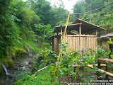 nomad4ever_bali_waterfall_hotsprings_CIMG4848.jpg