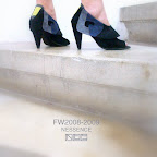 FW20082009.jpg