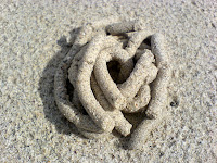 i think it's from a clam pushing up the sand from underneath.