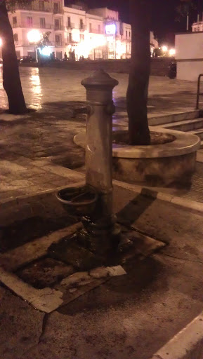 Fontana del Carmine