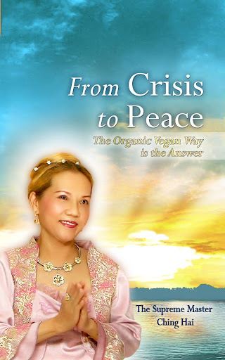 From Crisis to Peace