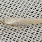 The Hoary Footman Moth