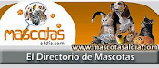 Mascotas Al Dia  El Directorio De Mascotas