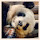 eccatlover9