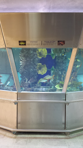 Aquarium Terminal 2