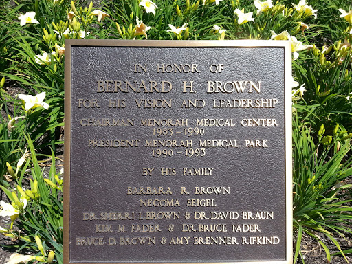 Bernard H Brown