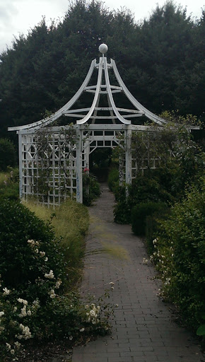 Rosengarten im Zitadellenpark