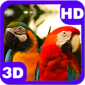 Beautiful Parrots Couple 3D