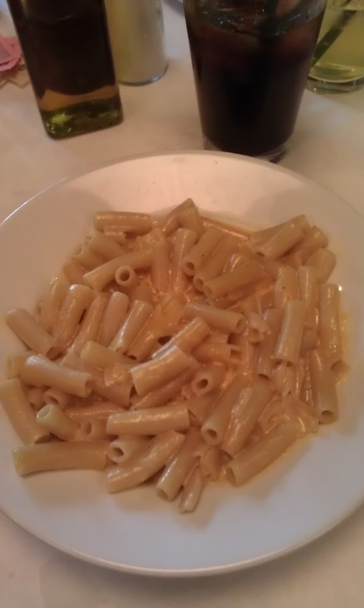 pasta w/cheese sauce