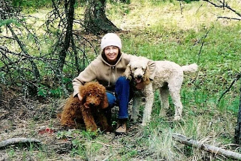 Sharon Thesen: TCR Writer-in-Residence 2012