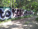 Граффити В Лесу На Сиреневом