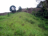Finca Santiago Perez Zeledon 5