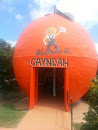 Gayndah Orange