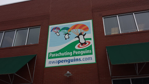 Penguins Mural