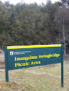 Inangahua Swingbridge Picnic Area