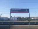Zvenigorod Train Station