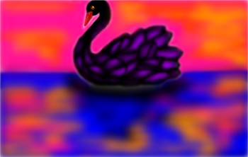 Swan