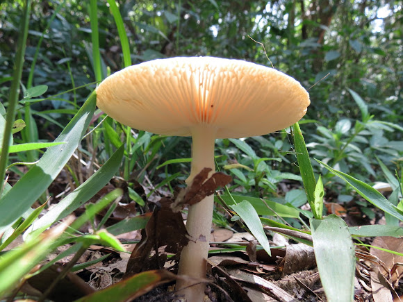 Spotting Image 1