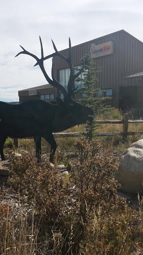Elk Statue Colorado East Bank