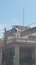 Vaca El Rodeo 