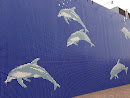 イルカの壁画