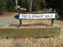 The Elephant Walk 