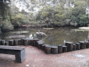 UOW Duck Pond
