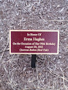 Hughes Memorial Tree